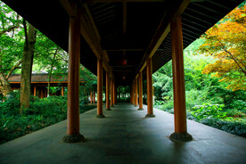 西湖风景