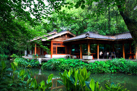 西湖风景