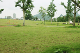 绿草坪