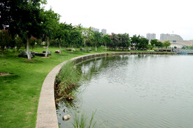 爱莲湖湿地公园