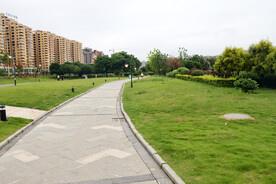 公园草地