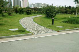 公园草地