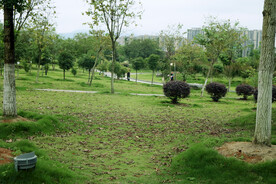 爱莲湖公园草地