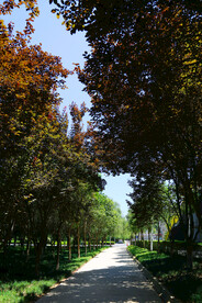 西安电子科技大学