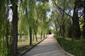 西安高校