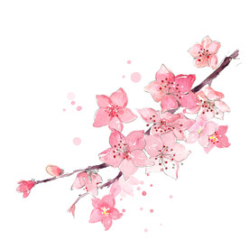 精美桃花树枝图案