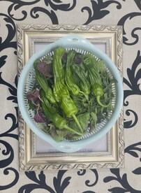 青椒高清大图 