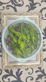 青椒