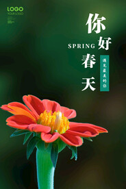 你好春天