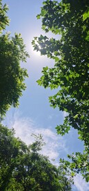 绿意浓浓