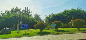 路边 公园
