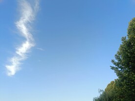 云天空树