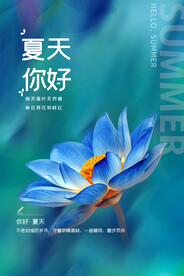 你好夏天