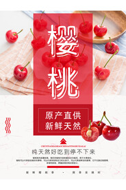 樱桃海报