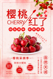 樱桃海报