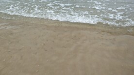海水