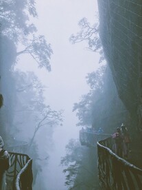 张家界 天门山 森林山谷 天空