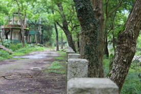 路003