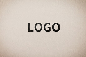 logo 样机