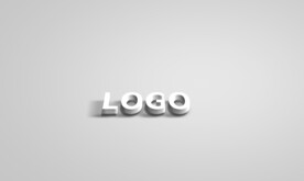 白色立体字logo样机效果图