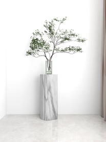 绿植效果图