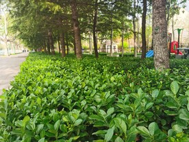 安静的滑梯