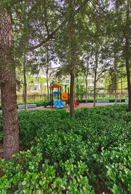 小树林和滑梯