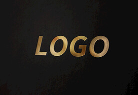 金色字logo样机黑色背景