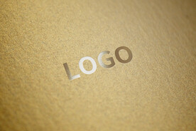 logo样机金色背景