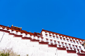 西藏拉萨布达拉宫白玛草墙领