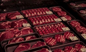 生肉