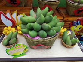 芒果