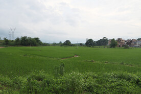 田园风光