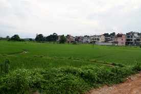 田园风光
