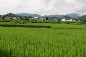 田园风光