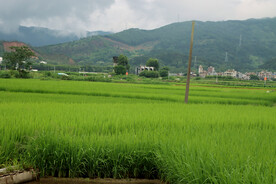 田园风光