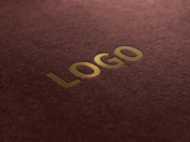 logo样机