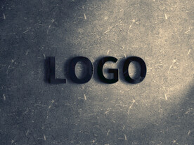 logo样机黑色