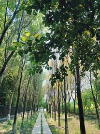 新绿溶溶涨暖香