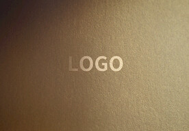 logo样机