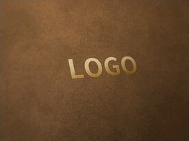 logo样机