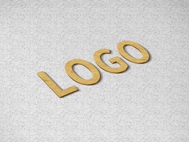 logo样机俯视
