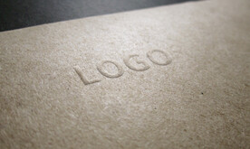 logo样机效果图