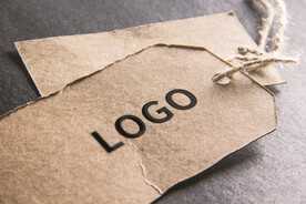 logo样机效果图