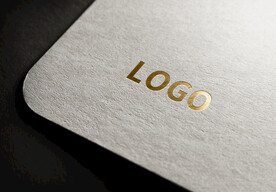 logo样机