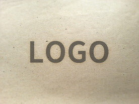 logo样机效果图