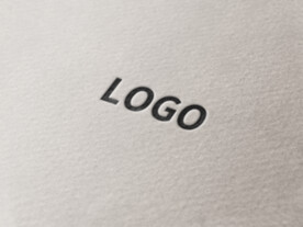 logo样机效果图