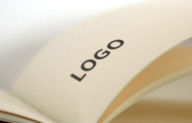 logo样机效果图