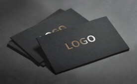 logo样机