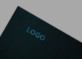 logo样机 